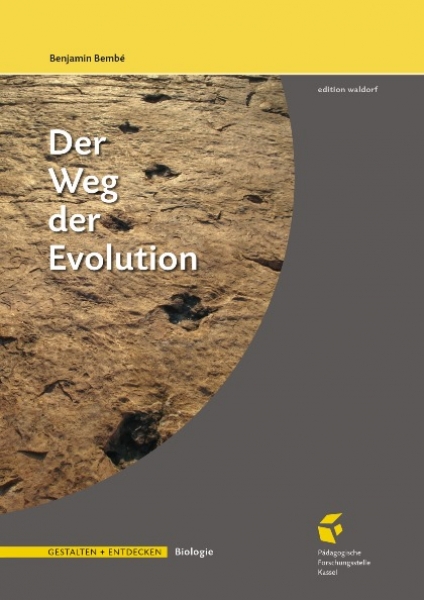 Der Weg der Evolution