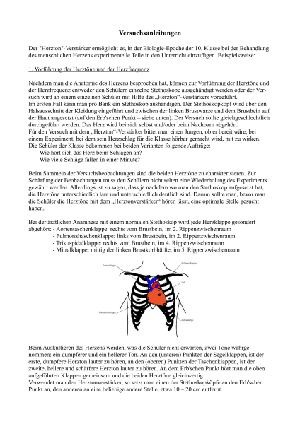 Herzton-Verstärker - Anleitung -