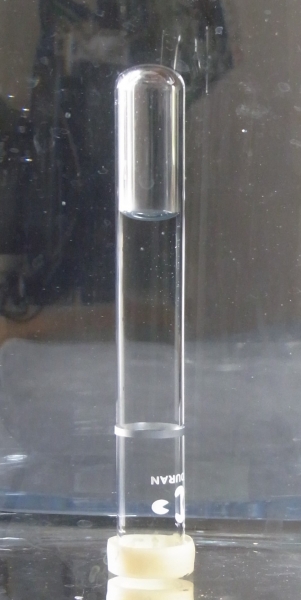 Cartesischer Taucher (Reagenzglas)